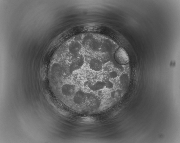 X0000112530741200909141247