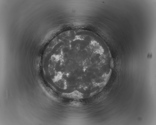 X0000112530742200909141247