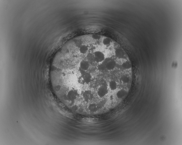 X0000112530745200909141247