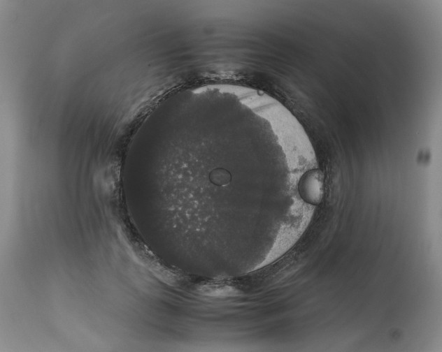 X0000112530747200909141247