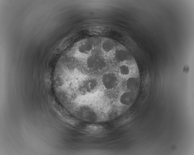 X0000112530749200909141247