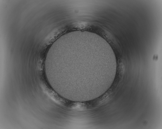 X0000112530750200909141247