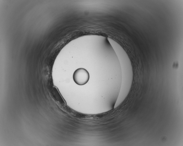 X0000112530752200909141247