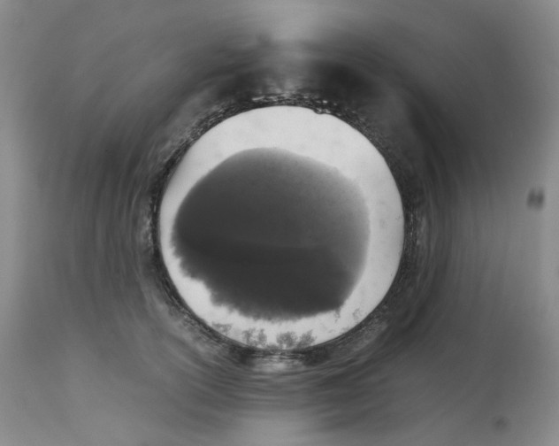 X0000112530754200909141247