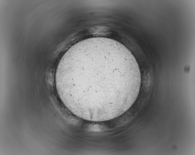 X0000112530755200909141247