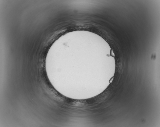 X0000112530756200909141247