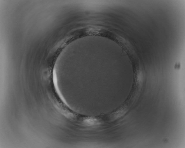 X0000112530759200909141247