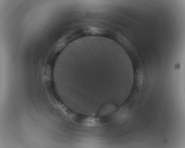 X0000112530760200909141247