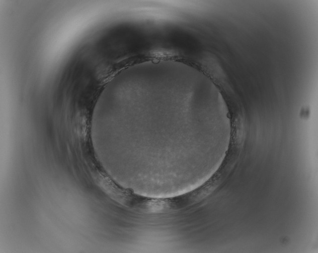 X0000112530762200909141247