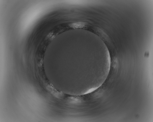 X0000112530763200909141247