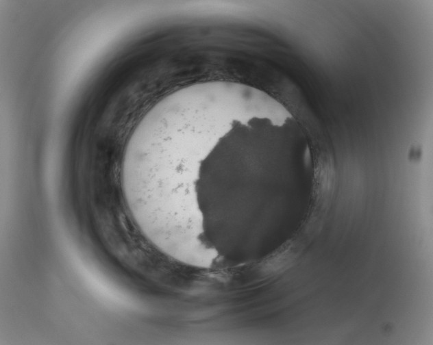 X0000112530765200909141247