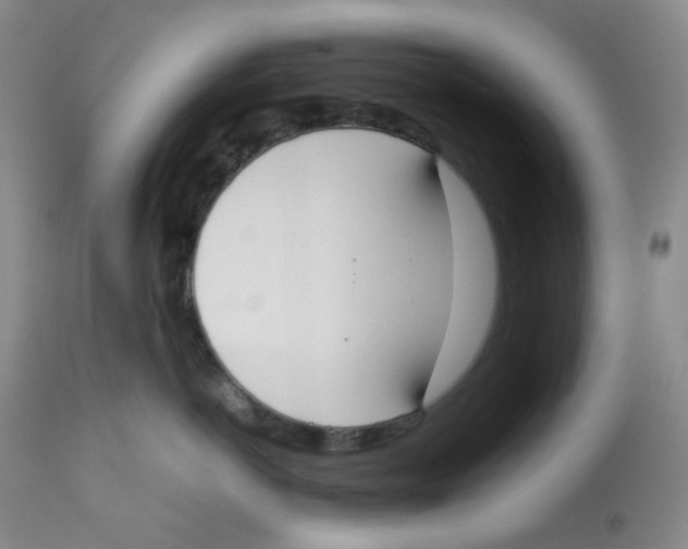 X0000112530766200909141247