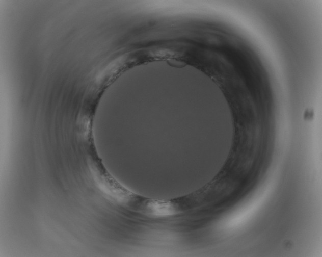 X0000112530767200909141247