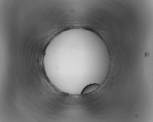 X0000112530768200909141247