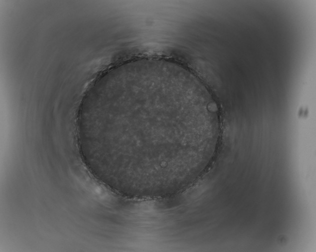 X0000112530769200909141246