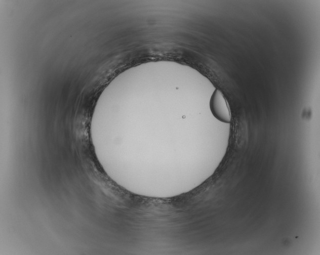 X0000112530770200909141246