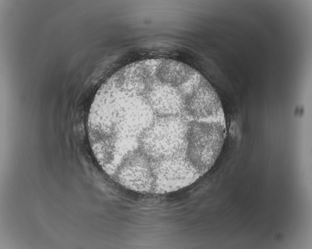 X0000112530771200909141246