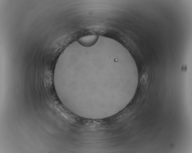 X0000112530772200909141246