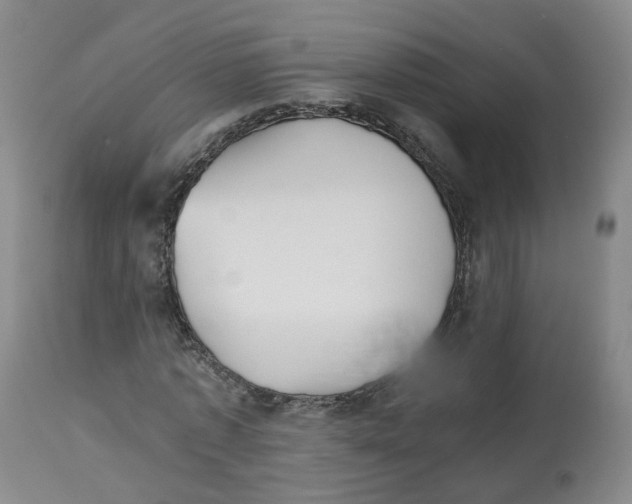 X0000112530773200909141246