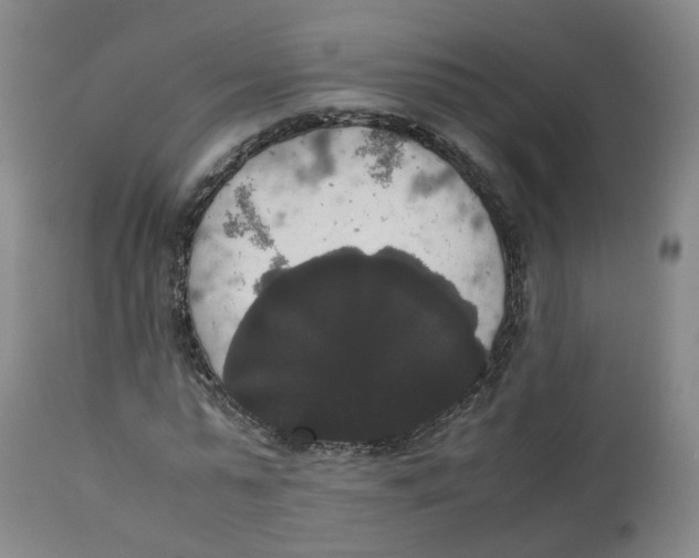 X0000112530775200909141246