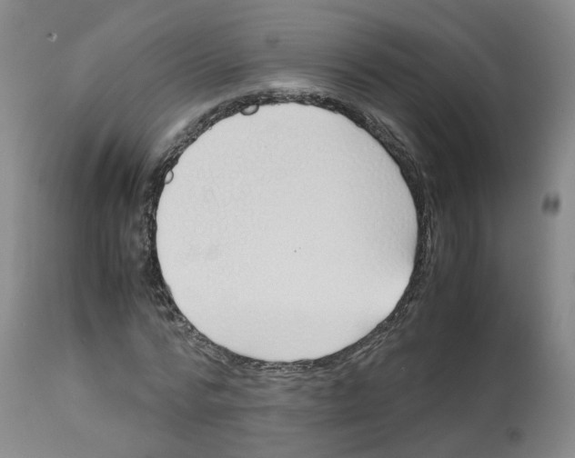 X0000112530776200909141246