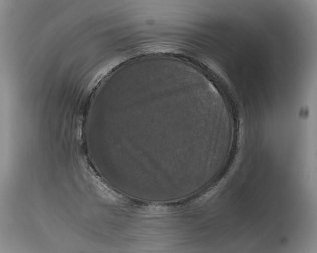 X0000112530777200909141246