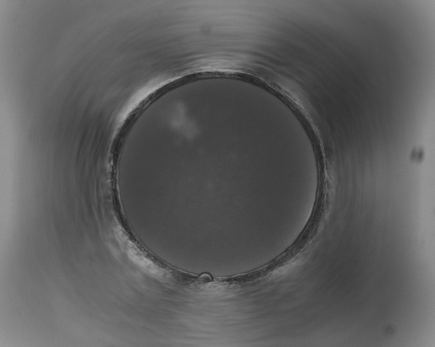 X0000112530779200909141246