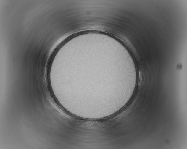 X0000112530780200909141246