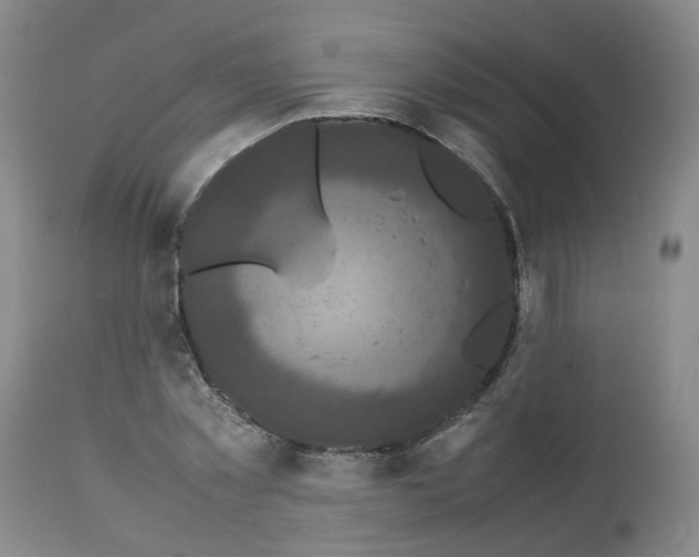 X0000112530781200909141246