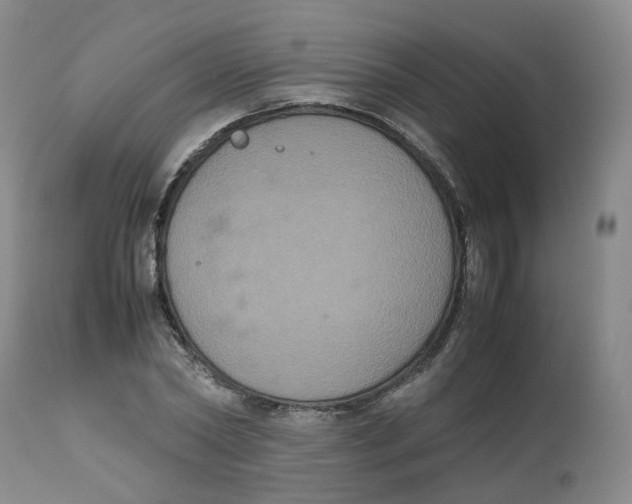 X0000112530782200909141246