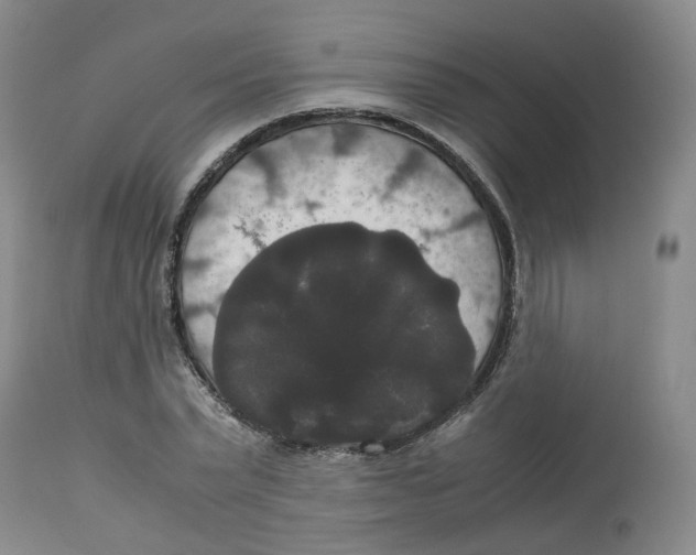 X0000112530783200909141246