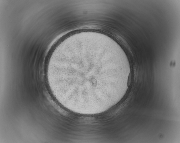 X0000112530784200909141246