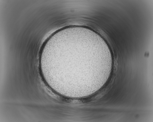 X0000112530787200909141246