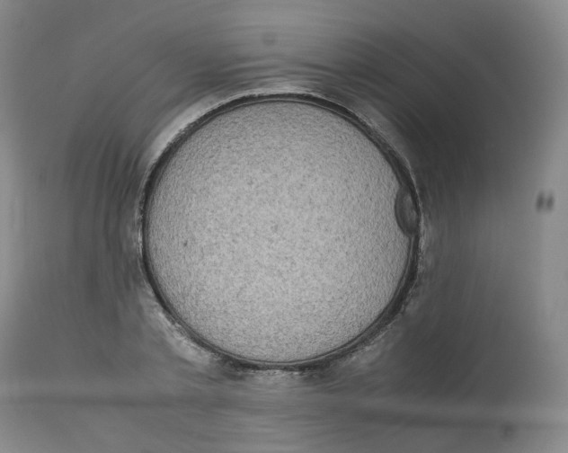 X0000112530789200909141246