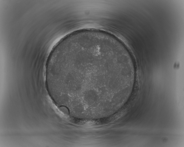 X0000112530791200909141246