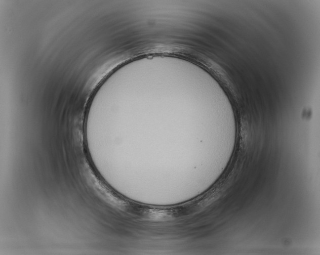 X0000112530794200909141246