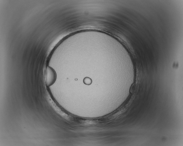 X0000112530796200909141246