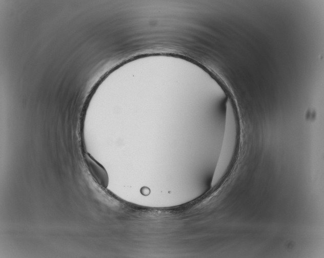 X0000112530797200909141246