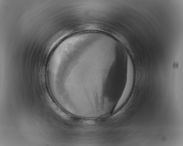 X0000112530798200909141246