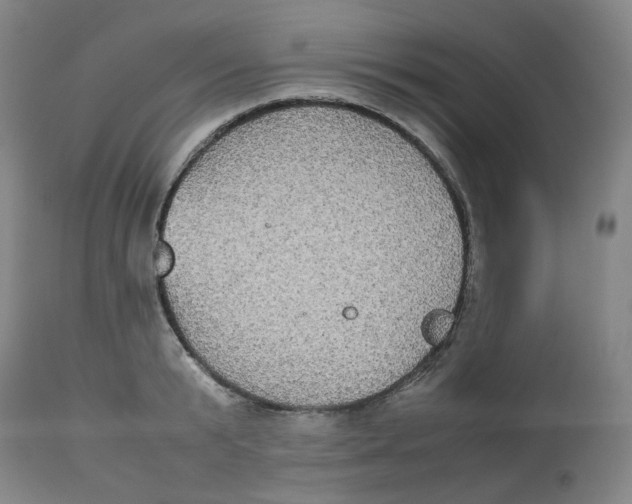 X0000112530799200909141246