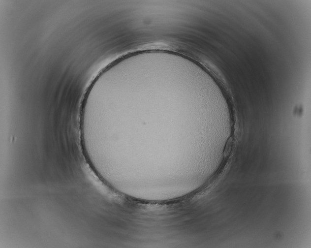 X0000112530800200909141246