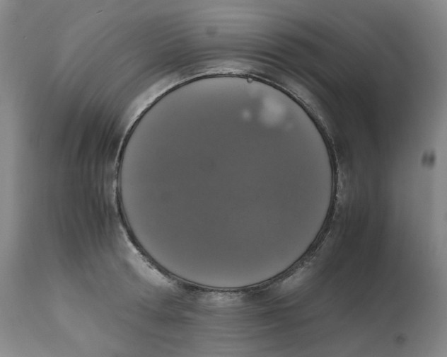 X0000112530802200909141246