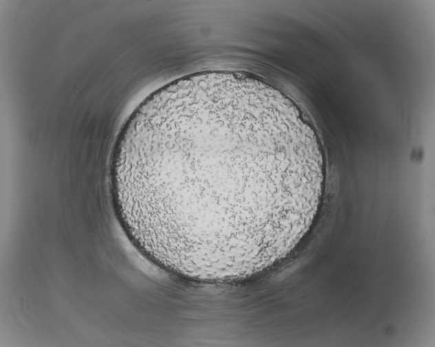 X0000112530803200909141246