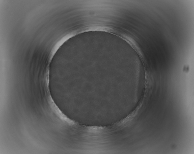 X0000112530804200909141246