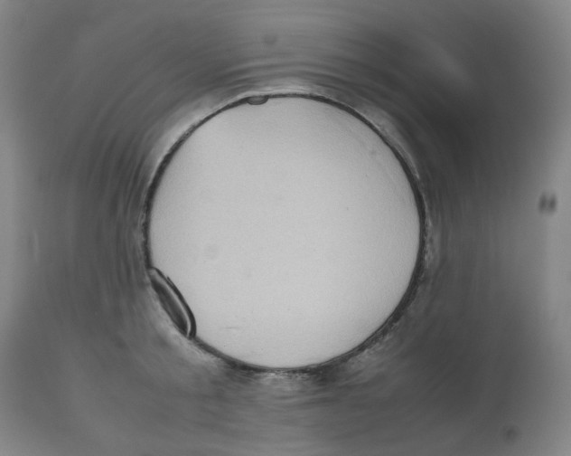 X0000112530805200909141246