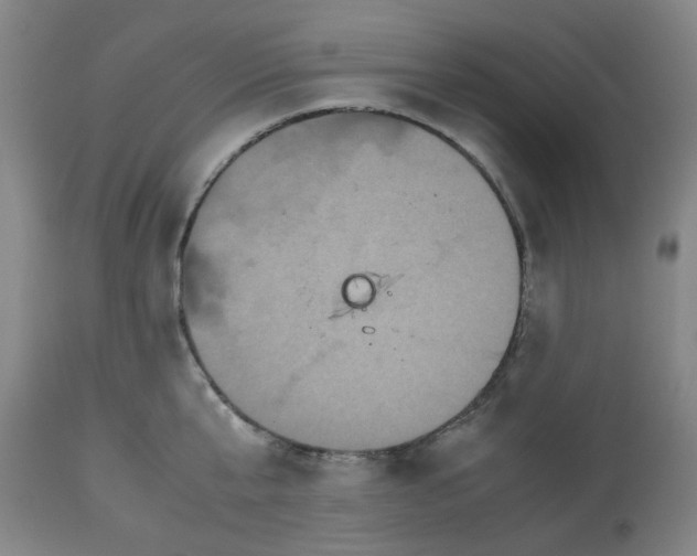 X0000112530807200909141246