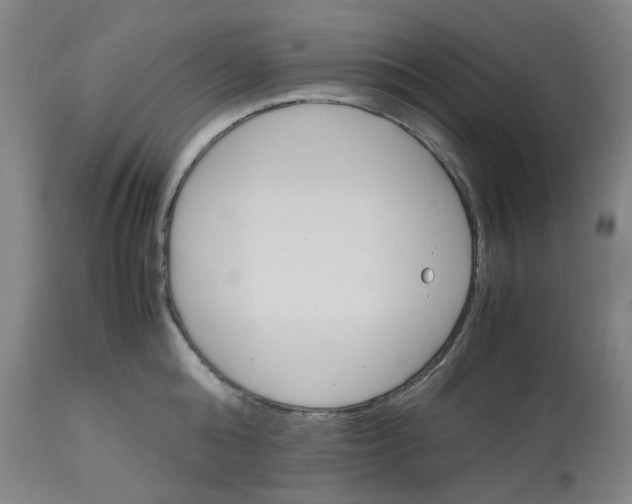 X0000112530808200909141246