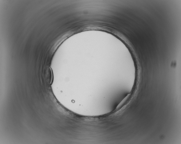 X0000112530809200909141246