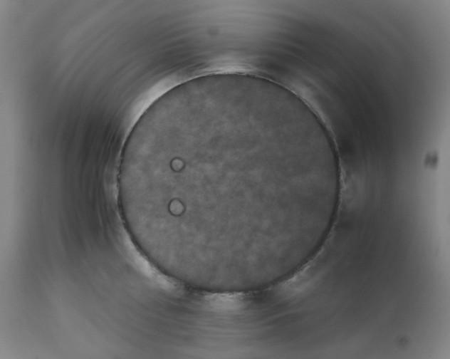 X0000112530810200909141246