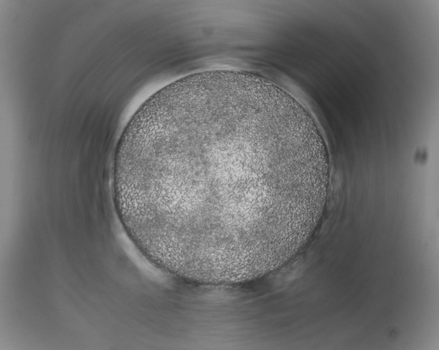 X0000112530811200909141246